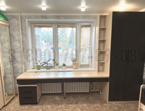 Рабочая зона модель r106 купить в Апрелевке